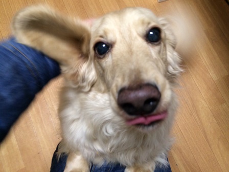 コロン7